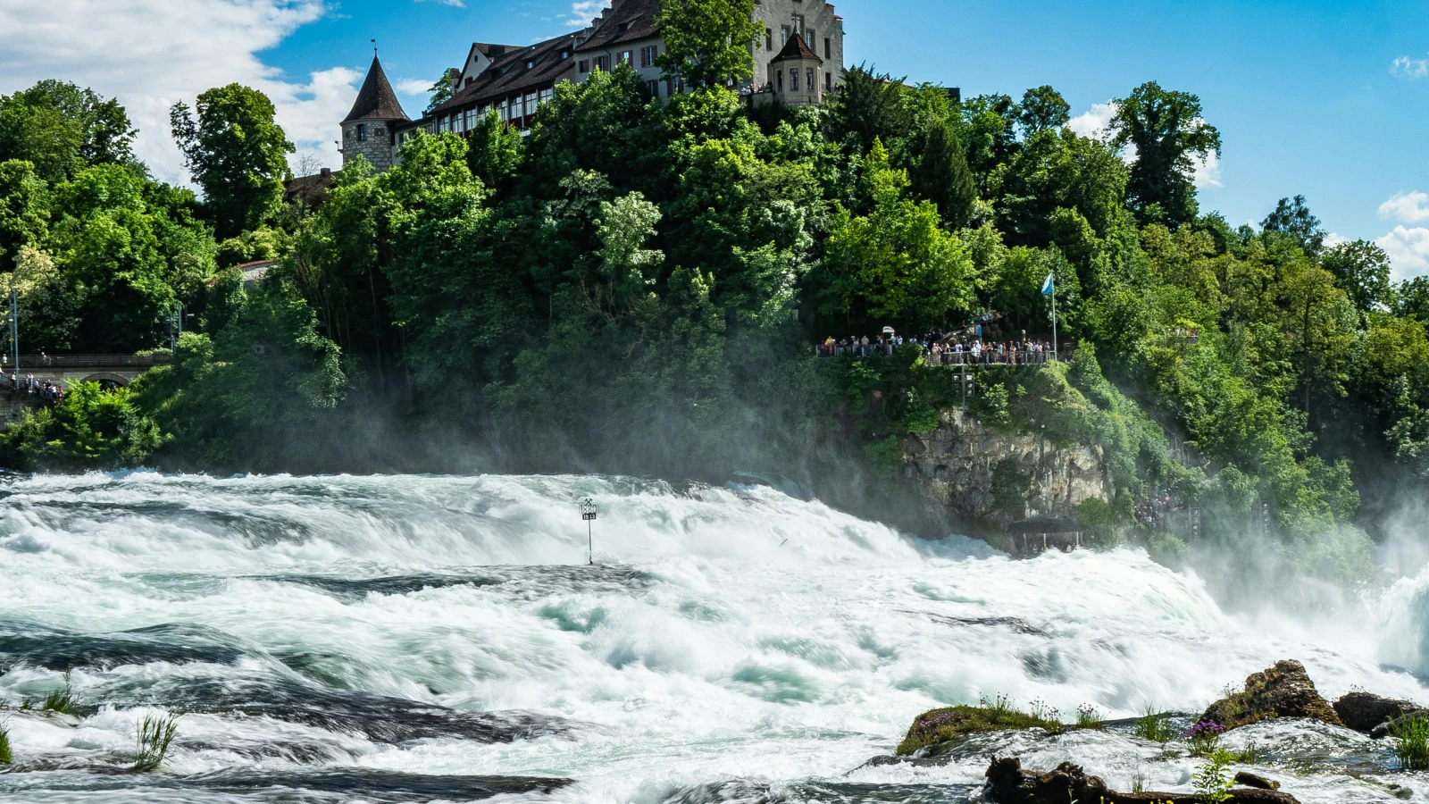Rhine Falls boat trip experience from Zurich Switzerland